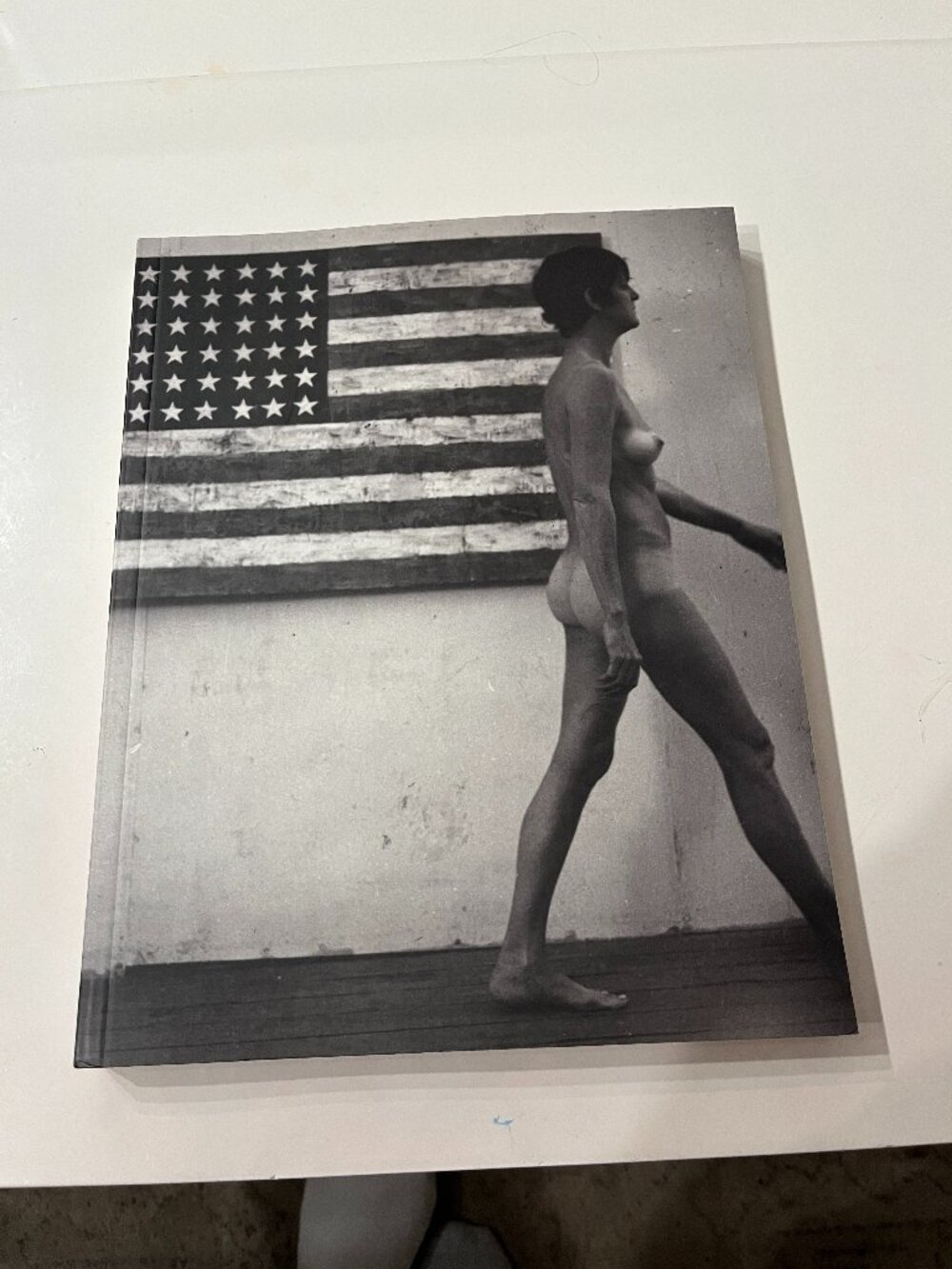 Elaine Sturtevant Catalogue Raisonné 1964-2004 Art Book
